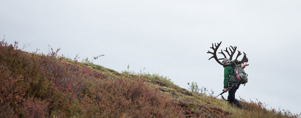 Alaska_Blog_Feature_01_aba465c
