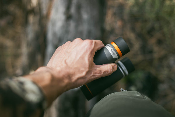 The Everyday Bowhunter - Best Bow Hunting Gear 2025: Top Bows, Arrows & Must-Have Gear