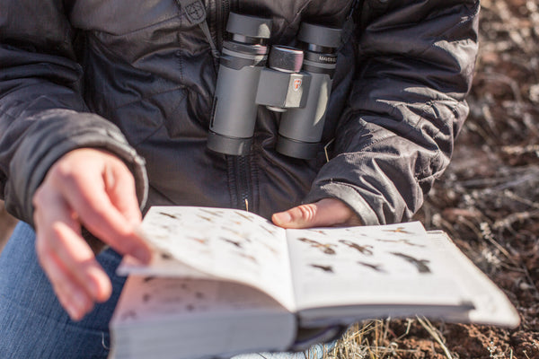 Forbes - Best Binoculars You Can Buy Online According To A Birding Expert