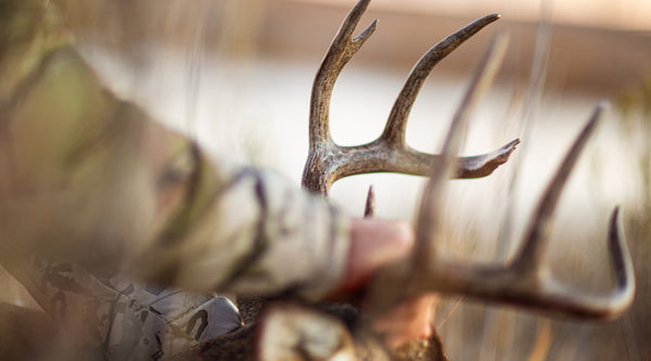 How to choose a rifle scope for deer hunting