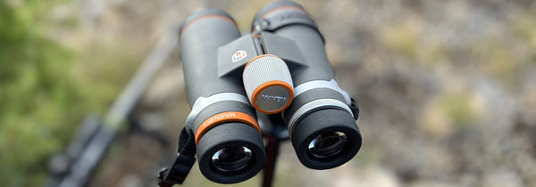 Backwoods Pursuit - B1.2 Review - Worth the Upgrade?