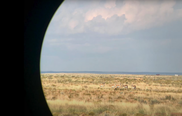 Target Tamers - Maven B5 - Big Country Hunting With a 15x56 Binocular